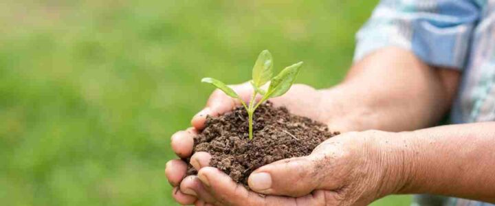5 Dampak Positif Bisnis Agrikultur bagi Masyarakat