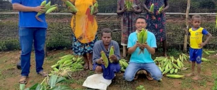 5 Peran Penting Papua Agro Lestari Untuk Lingkungan Hidup