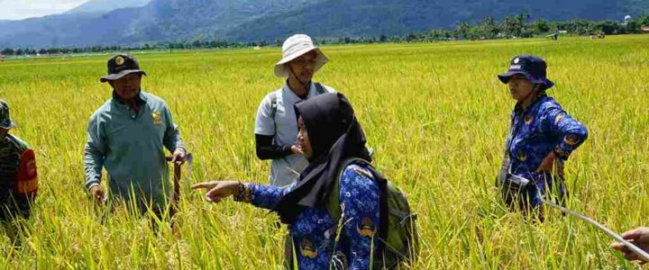 5 Peran Penting Perusahaan dalam Pengembangan Pertanian