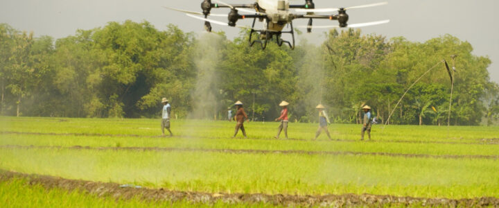 Langkah Modernisasi Sektor Agrikultur di Indonesia