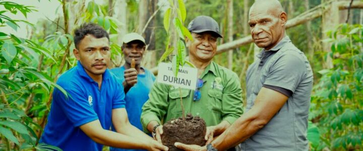 Mengenal Kelebihan Papua Agro Lestari Lebih Lengkap